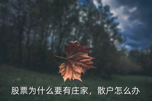 股票為什么要有莊家，散戶怎么辦