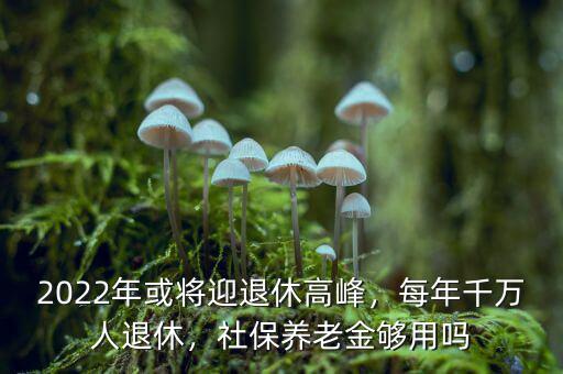 2022年或?qū)⒂诵莞叻澹磕昵f人退休，社保養(yǎng)老金夠用嗎