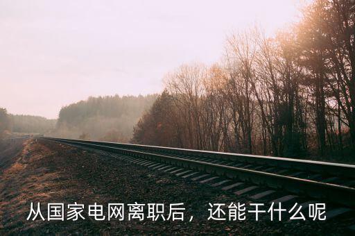 從國家電網(wǎng)離職后，還能干什么呢