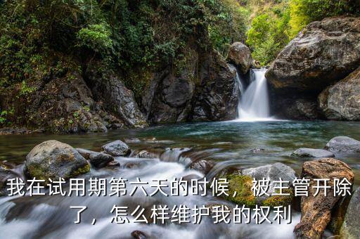 我在試用期第六天的時候，被主管開除了，怎么樣維護(hù)我的權(quán)利