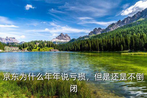 京東為什么年年說虧損，但是還是不倒閉