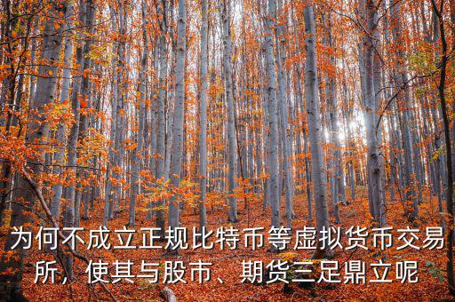 為何不成立正規(guī)比特幣等虛擬貨幣交易所，使其與股市、期貨三足鼎立呢