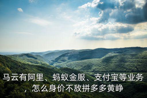 馬云有阿里、螞蟻金服、支付寶等業(yè)務，怎么身價不敵拼多多黃崢