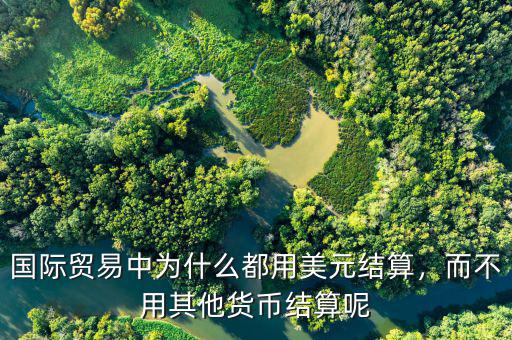 國際貿(mào)易中為什么都用美元結算，而不用其他貨幣結算呢