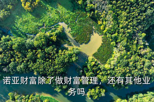 諾亞財(cái)富除了做財(cái)富管理，還有其他業(yè)務(wù)嗎