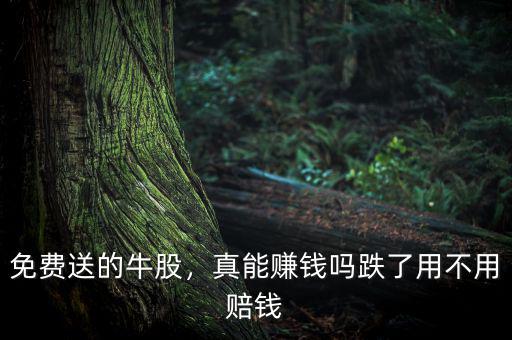 免費(fèi)送的牛股，真能賺錢嗎跌了用不用賠錢