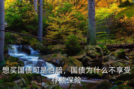 想買國債可是怕賠，國債為什么不享受存款保險(xiǎn)