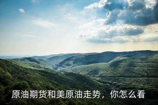 原油期貨和美原油走勢，你怎么看