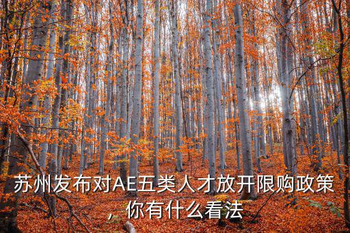 蘇州發(fā)布對(duì)AE五類人才放開限購(gòu)政策，你有什么看法