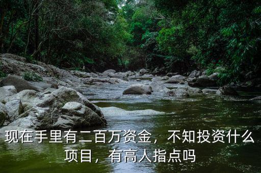 現(xiàn)在手里有二百萬資金，不知投資什么項目，有高人指點嗎