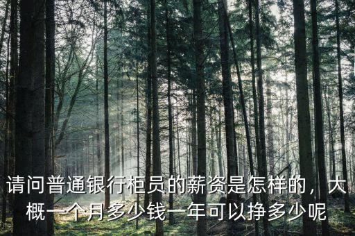 請(qǐng)問普通銀行柜員的薪資是怎樣的，大概一個(gè)月多少錢一年可以掙多少呢