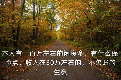 本人有一百萬左右的閑資金，有什么保險點，收入在30萬左右的，不欠賬的生意