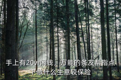 手上有20w閑錢，萬能的條友幫指點下做什么生意較保險