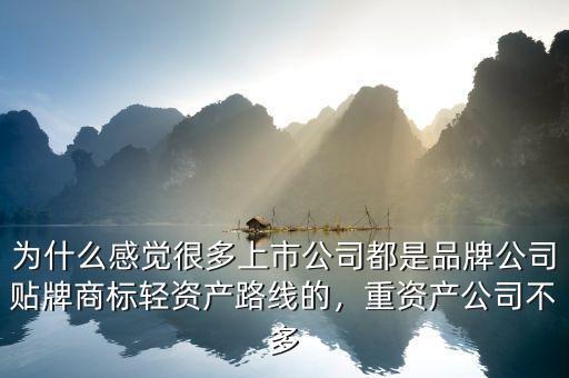 為什么感覺(jué)很多上市公司都是品牌公司貼牌商標(biāo)輕資產(chǎn)路線的，重資產(chǎn)公司不多