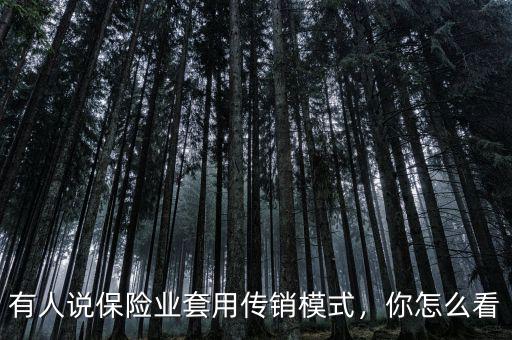 有人說保險(xiǎn)業(yè)套用傳銷模式，你怎么看