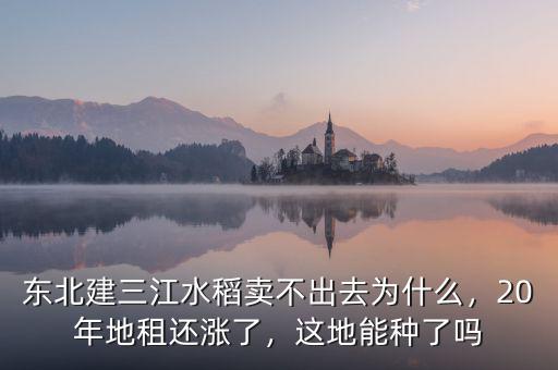 東北建三江水稻賣不出去為什么，20年地租還漲了，這地能種了嗎