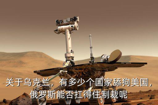 關于烏克蘭，有多少個國家舔狗美國，俄羅斯能否扛得住制裁呢