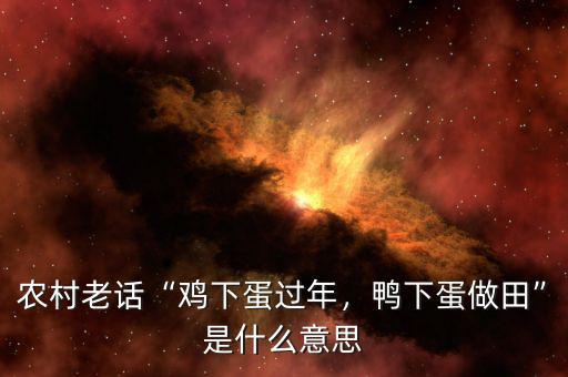 農(nóng)村老話“雞下蛋過年，鴨下蛋做田”是什么意思