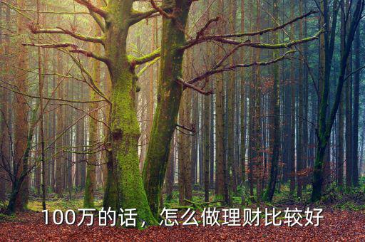 100萬(wàn)的話，怎么做理財(cái)比較好