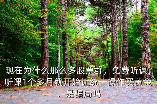 現(xiàn)在為什么那么多股票群，免費聽課，聽課1個多月就開始讓統(tǒng)一操作買黃金，是騙局嗎