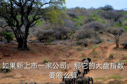 如果新上市一家公司，那它的大盤指數(shù)要怎么算