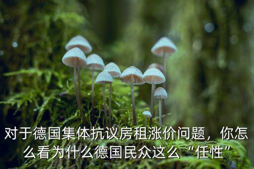 對于德國集體抗議房租漲價問題，你怎么看為什么德國民眾這么“任性”