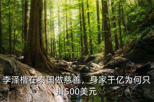 李澤楷在泰國做慈善，身家千億為何只捐500美元