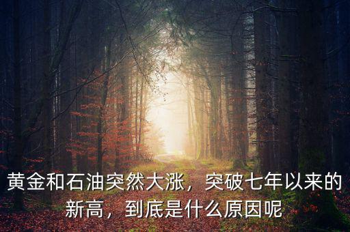 黃金和石油突然大漲，突破七年以來的新高，到底是什么原因呢