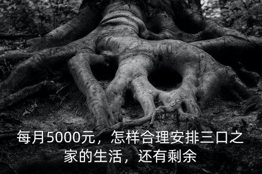 每月5000元，怎樣合理安排三口之家的生活，還有剩余