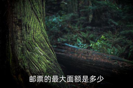 莫幣面值最大的是多少,世界最大面值錢(qián)是多少