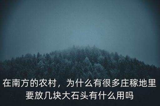 在南方的農村，為什么有很多莊稼地里要放幾塊大石頭有什么用嗎