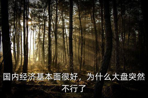 國內(nèi)經(jīng)濟(jì)基本面很好，為什么大盤突然不行了