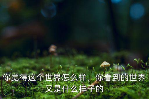 你覺(jué)得這個(gè)世界怎么樣，你看到的世界又是什么樣子的