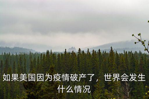 如果美國因?yàn)橐咔槠飘a(chǎn)了，世界會(huì)發(fā)生什么情況