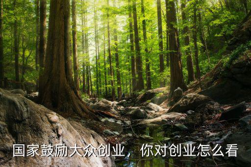 國(guó)家鼓勵(lì)大眾創(chuàng)業(yè)，你對(duì)創(chuàng)業(yè)怎么看