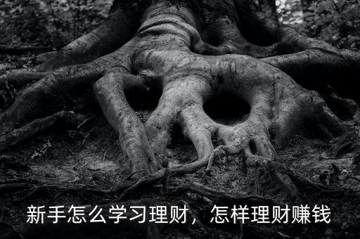 新手怎么學(xué)習(xí)理財，怎樣理財賺錢