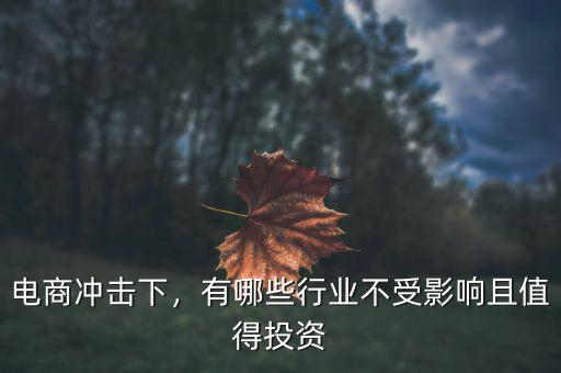 電商沖擊下，有哪些行業(yè)不受影響且值得投資