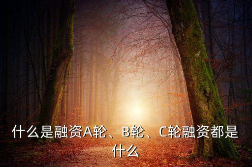 什么是融資A輪、B輪、C輪融資都是什么