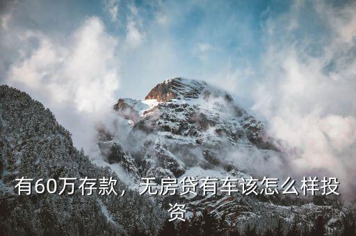 有60萬存款，無房貸有車該怎么樣投資