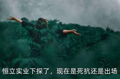 恒立實(shí)業(yè)下探了，現(xiàn)在是死抗還是出場(chǎng)