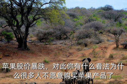 蘋果股價暴跌，對此你有什么看法為什么很多人不愿意購買蘋果產(chǎn)品了