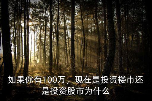 如果你有100萬(wàn)，現(xiàn)在是投資樓市還是投資股市為什么