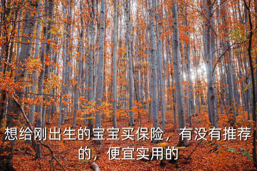 想給剛出生的寶寶買保險(xiǎn)，有沒有推薦的，便宜實(shí)用的