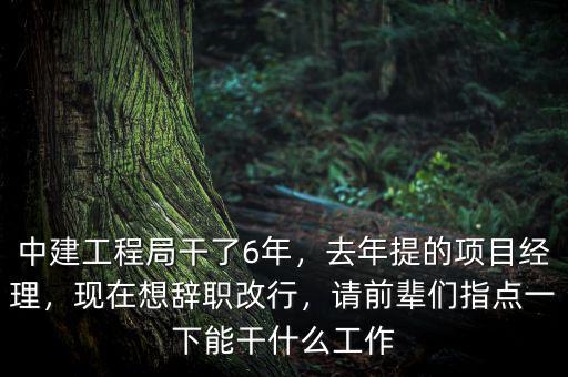 中建工程局干了6年，去年提的項(xiàng)目經(jīng)理，現(xiàn)在想辭職改行，請(qǐng)前輩們指點(diǎn)一下能干什么工作
