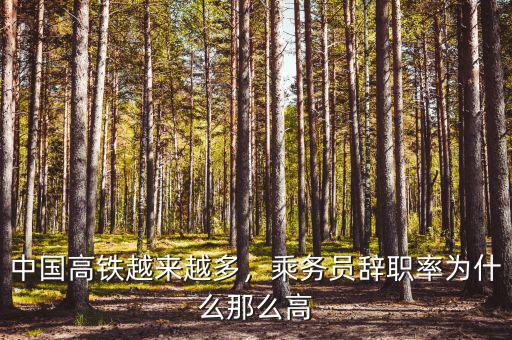 中國(guó)高鐵越來(lái)越多，乘務(wù)員辭職率為什么那么高