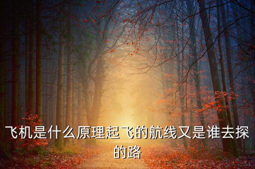 飛機(jī)起飛怎么進(jìn)入航線(xiàn),飛機(jī)是什么原理起飛的