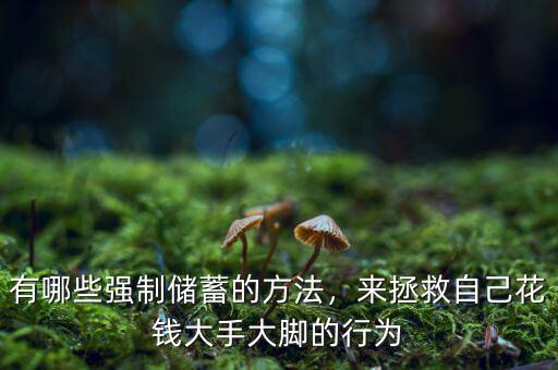有哪些強(qiáng)制儲蓄的方法，來拯救自己花錢大手大腳的行為
