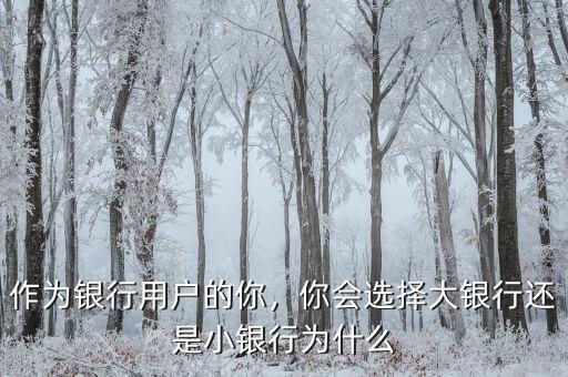 作為銀行用戶的你，你會(huì)選擇大銀行還是小銀行為什么