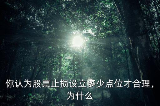 你認為股票止損設(shè)立多少點位才合理，為什么