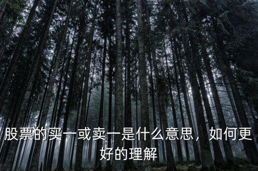 股票的買一或賣一是什么意思，如何更好的理解